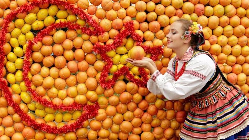 Kayseri Çıkışlı Günübirlik Adana Portakal Çiceği Festivali Turu (VIP)