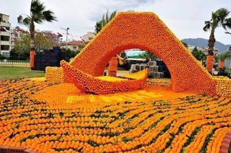 Kayseri Çıkışlı Günübirlik Adana Portakal Çiceği Festivali Turu (VIP)